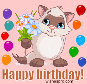 Życzenia urodzinowe - cat3
