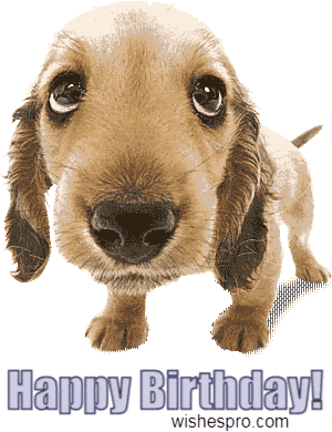 Życzenia urodzinowe - dog2