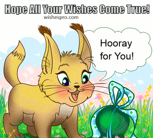 Birthday Wishes - Bunny in the Field