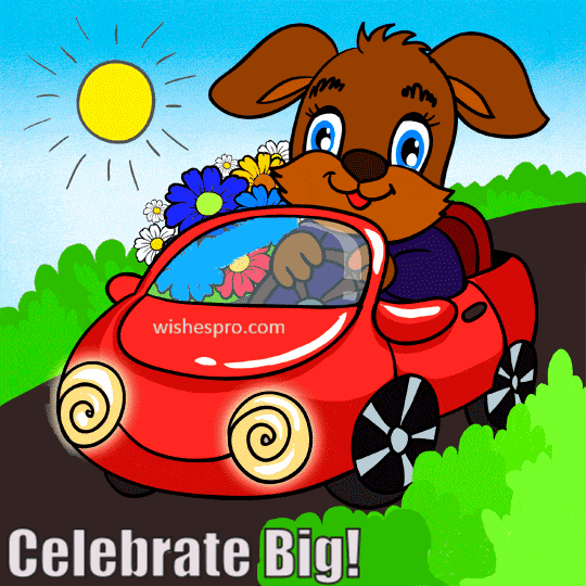 Birthday Wishes - Puppy With Flowers In Car