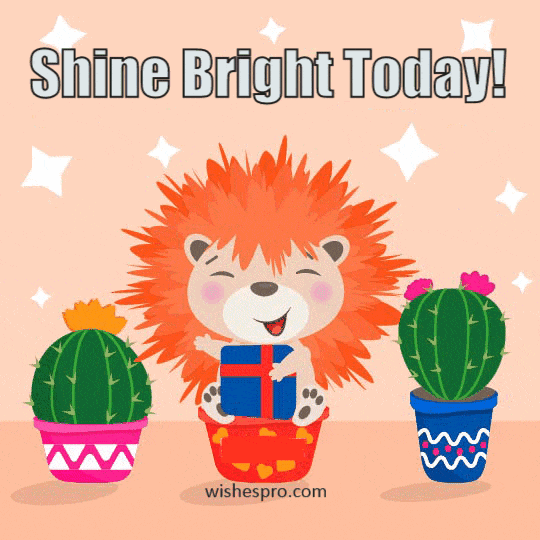 Birthday Wishes - Hedgehog with a Gift and Cacti