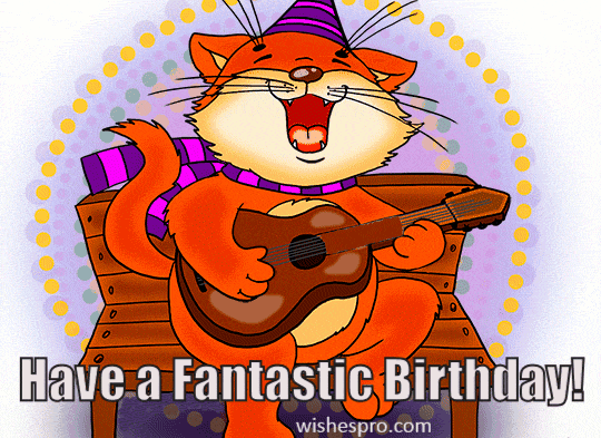Birthday Wishes - Funny Cat With Guitar